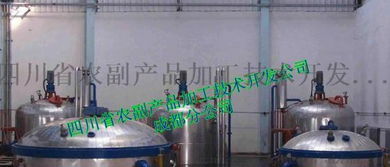 紅薯脯生產線與加工設備 四川農副產業的技術革新